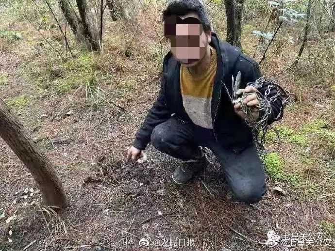 极客晨星：病毒肆虐，洪水，山火……2020年是时候为孩子们