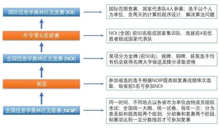 极客晨星：重要！信息学奥赛全面解读，家长必看
